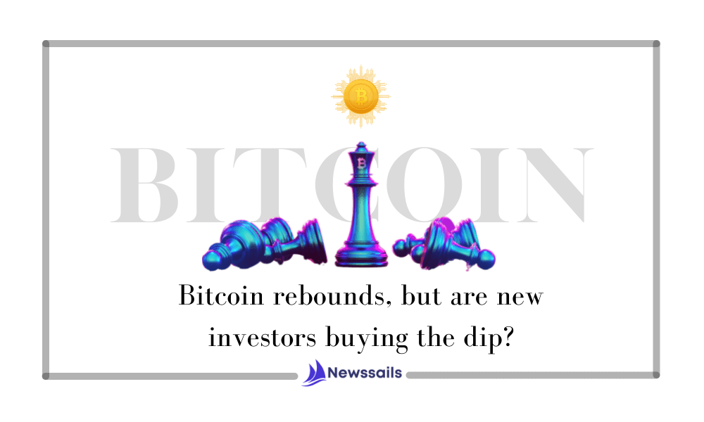 Bitcoin rebounds, but are new investors buying the dip? - News Sails